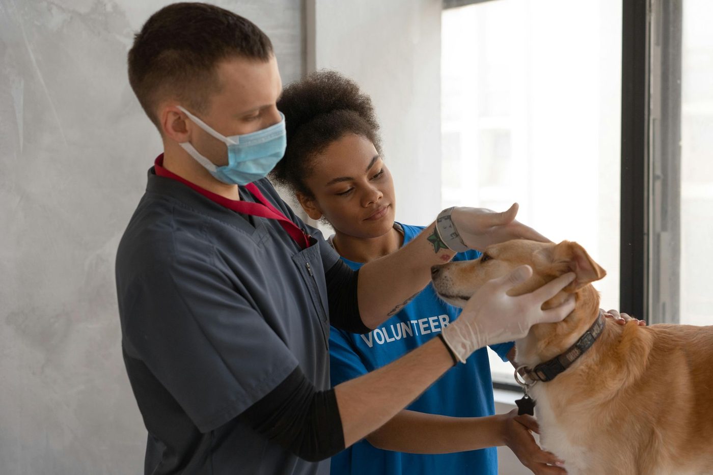 Veterinary in Richmond, Texas